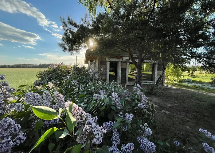 Holiday home Rosochata